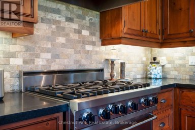 124 SNOWBRIDGE WAY Blue Mountains Ontario photo 17