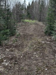 1527 MADILL ROAD Highlands East (Monmouth) Ontario photo 10