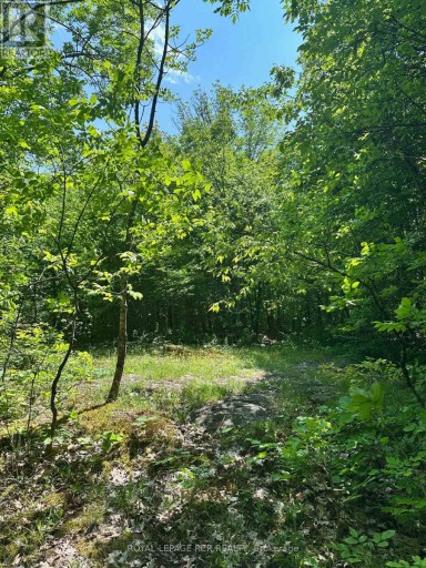 1527 MADILL ROAD, Highlands East (Monmouth), Ontario, K0M1R0