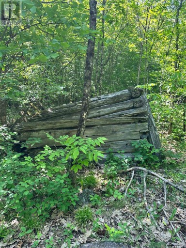 1527 MADILL ROAD, Highlands East (Monmouth), Ontario, K0M1R0