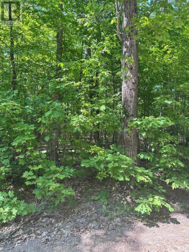 1527 MADILL ROAD, Highlands East (Monmouth), Ontario, K0M1R0