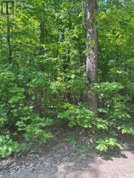 1527 MADILL ROAD Highlands East (Monmouth) Ontario photo 13