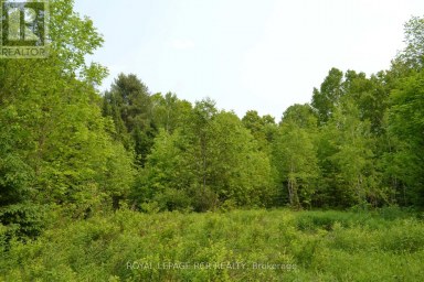 1527 MADILL ROAD Highlands East (Monmouth) Ontario photo 2