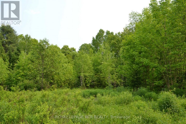 1527 MADILL ROAD, Highlands East (Monmouth), Ontario, K0M1R0