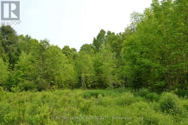 1527 MADILL ROAD Highlands East (Monmouth) Ontario photo 4