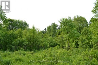 1527 MADILL ROAD Highlands East (Monmouth) Ontario photo 5