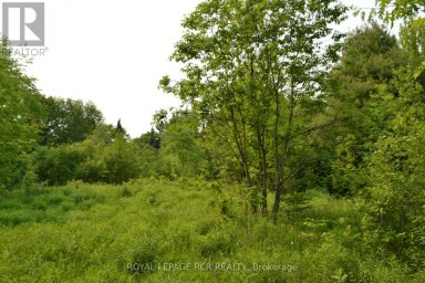 1527 MADILL ROAD Highlands East (Monmouth) Ontario photo 6