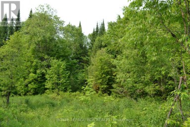 1527 MADILL ROAD Highlands East (Monmouth) Ontario photo 7