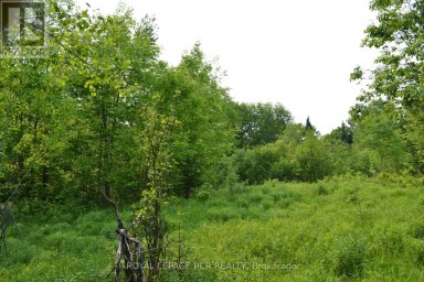 1527 MADILL ROAD Highlands East (Monmouth) Ontario photo 8
