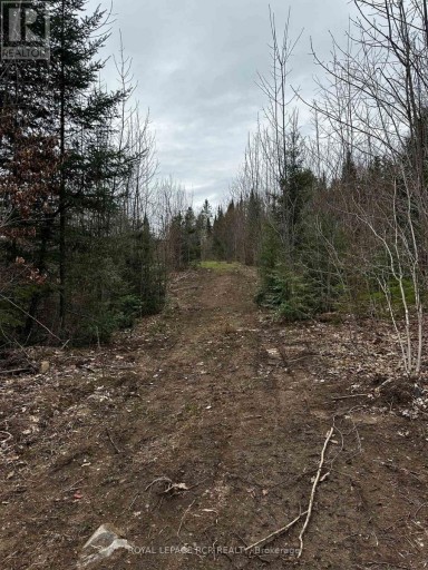 1527 MADILL ROAD, Highlands East (Monmouth), Ontario, K0M1R0