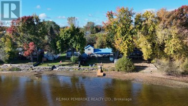1213 BURNS DRIVE Laurentian Valley Ontario photo 45
