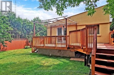 64 LINDSAY AVENUE Newmarket (Bristol-London) Ontario photo 27