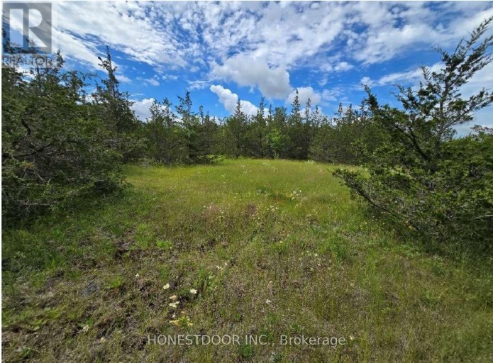 359 GOODYEAR ROAD, Greater Napanee (Greater Napanee), Ontario, K7R3L2