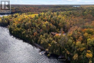 1014 SALMON LAKE ROAD Trent Lakes Ontario photo 44