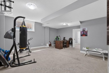 6 AYRSHIRE COURT Brampton (Snelgrove) Ontario photo 38