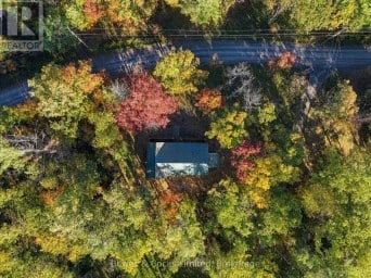 240 BURNT DAM ROAD Havelock-Belmont-Methuen Ontario photo 38