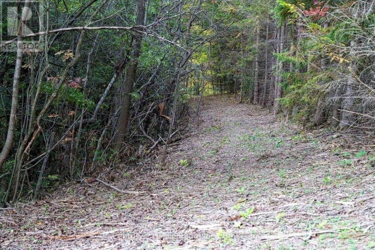 516557 7TH LINE, Blue Mountains, Ontario, N0H2P0