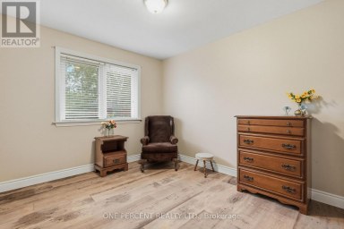 137 TERRACE DRIVE Hamilton (Balfour) Ontario photo 14