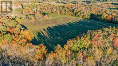 00 COUNTY ROAD 42 ROAD Asphodel-Norwood Ontario photo 20