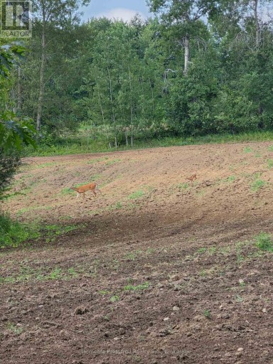 00 COUNTY ROAD 42 ROAD, Asphodel-Norwood, Ontario, K0L1Z0
