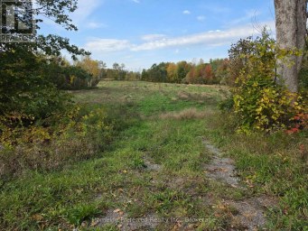 00 COUNTY ROAD 42 ROAD Asphodel-Norwood Ontario photo 4