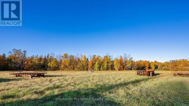 00 COUNTY ROAD 42 ROAD Asphodel-Norwood Ontario photo 8