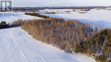 90654 GILMORE LINE Morris Turnberry (Turnberry) Ontario photo 3