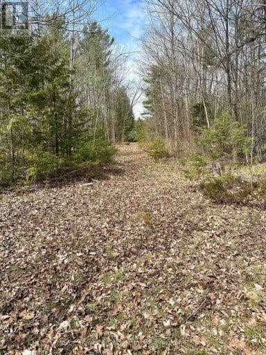 2981 COUNTY ROAD 44, Havelock-Belmont-Methuen (Belmont-Methuen), Ontario, K0L1Z0