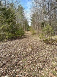 2981 COUNTY ROAD 44 Havelock-Belmont-Methuen (Belmont-Methuen) Ontario photo 10