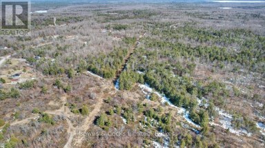 2981 COUNTY ROAD 44 Havelock-Belmont-Methuen (Belmont-Methuen) Ontario photo 14