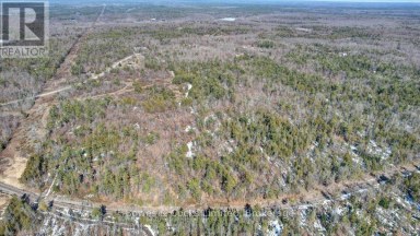 2981 COUNTY ROAD 44 Havelock-Belmont-Methuen (Belmont-Methuen) Ontario photo 15
