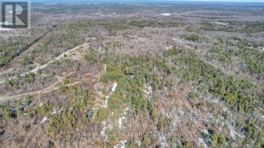 2981 COUNTY ROAD 44 Havelock-Belmont-Methuen (Belmont-Methuen) Ontario photo 16