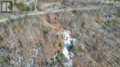 2981 COUNTY ROAD 44 Havelock-Belmont-Methuen (Belmont-Methuen) Ontario photo 19