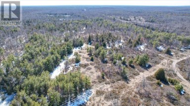 2981 COUNTY ROAD 44 Havelock-Belmont-Methuen (Belmont-Methuen) Ontario photo 22
