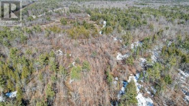 2981 COUNTY ROAD 44 Havelock-Belmont-Methuen (Belmont-Methuen) Ontario photo 25