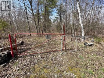 2981 COUNTY ROAD 44 Havelock-Belmont-Methuen (Belmont-Methuen) Ontario photo 8
