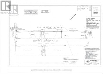 LOT 51 WELLINGTON STREET Newbury Ontario photo 2