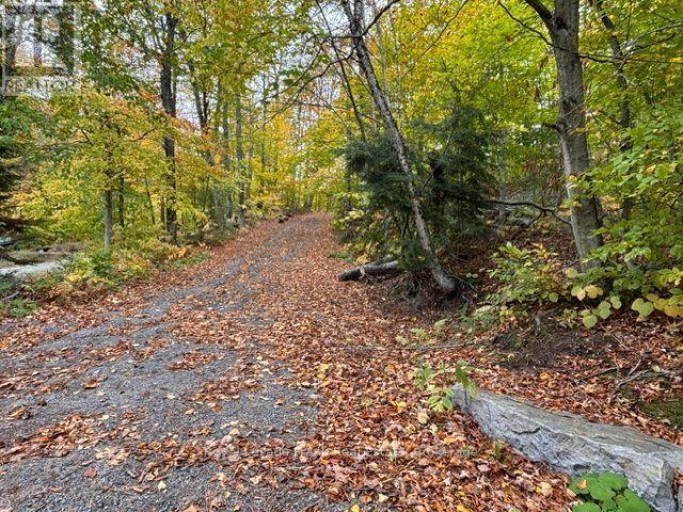 231 WEST DIAMOND LAKE ROAD, Hastings Highlands (Herschel Ward), Ontario, K0L1C0