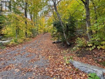 231 WEST DIAMOND LAKE ROAD Hastings Highlands (Herschel Ward) Ontario photo 30