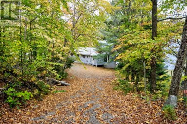 231 WEST DIAMOND LAKE ROAD Hastings Highlands (Herschel Ward) Ontario photo 4