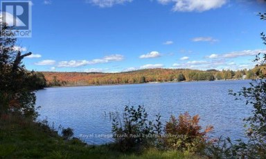 245 WEST DIAMOND LAKE ROAD Hastings Highlands (Herschel Ward) Ontario photo 25