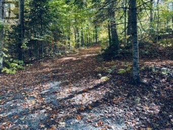 245 WEST DIAMOND LAKE ROAD Hastings Highlands (Herschel Ward) Ontario photo 26