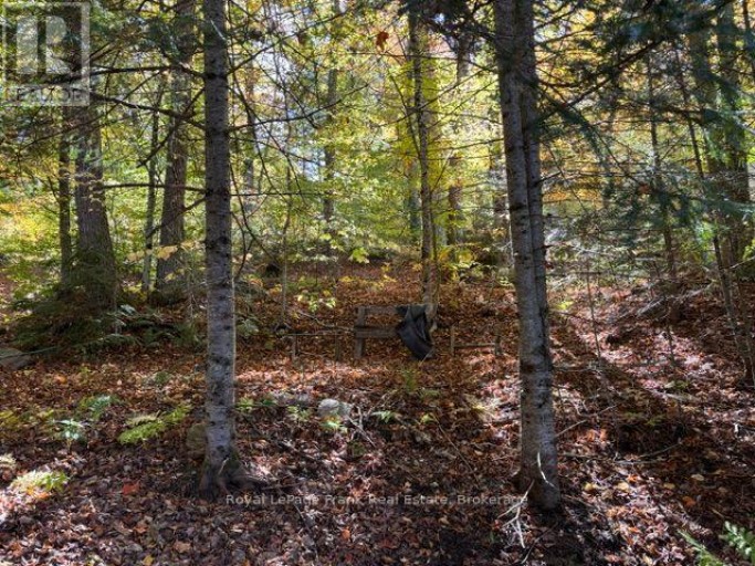 245 WEST DIAMOND LAKE ROAD, Hastings Highlands (Herschel Ward), Ontario, K0L1C0