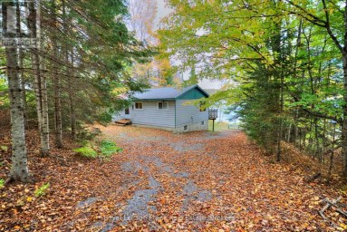 245 WEST DIAMOND LAKE ROAD Hastings Highlands (Herschel Ward) Ontario photo 4
