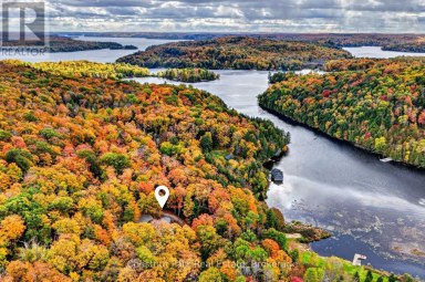 1204 CHARLIE THOMPSON ROAD Lake of Bays (Franklin) Ontario photo 3
