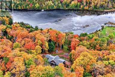 1204 CHARLIE THOMPSON ROAD Lake of Bays (Franklin) Ontario photo 46
