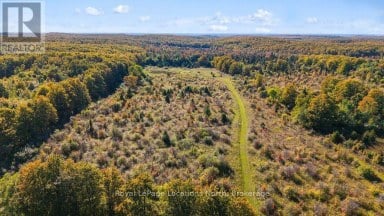 555130 SIXTH LINE Blue Mountains Ontario photo 40
