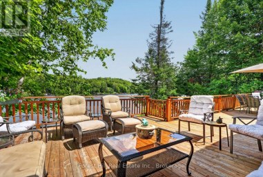 1355 BELLWOOD ACRES ROAD Lake of Bays (Ridout) Ontario photo 31