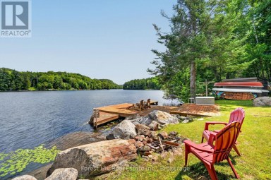 1355 BELLWOOD ACRES ROAD Lake of Bays (Ridout) Ontario photo 33