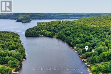 1355 BELLWOOD ACRES ROAD Lake of Bays (Ridout) Ontario photo 4